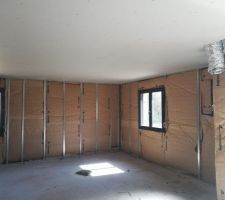 Le plaquiste a commencé les travaux ça avance vite nous sommes très contents ??
Il devrait avoir fini en milieu de semaine prochaine. 
Nous partons deux semaines donc dès notre retour on vous montrera l'évolution ??
A très vite 
Alexia et Nicolas