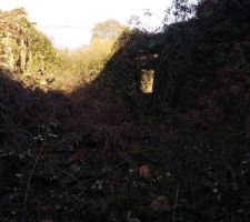 L'intérieur de la dépendance pendant le débroussaillage