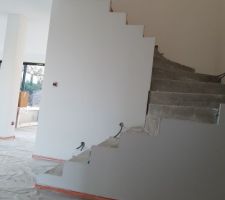 Peinture en cours. préparation finie partout. Vue escalier total.