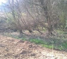 Angle droit devant du terrain