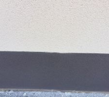 Crépis séparation entre les 2 couleurs mal faites