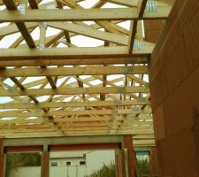 Mise en place des 1ers bois moisis