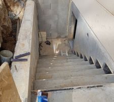 Marches vers le vide sanitaire coul&eacute;es