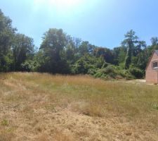 Vue du terrain et de l'environnement.