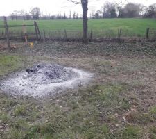 Fin du nettoyage du terrain