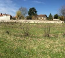 Notre parcelle... en largeur c'est environ le mur du fond.. 29m*26m