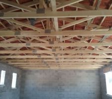 Elle a un joli chapeau :-)