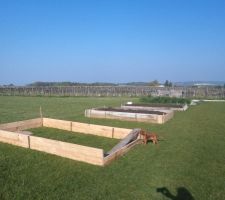 Réalisation de " carrés potager"  en fait des rectangles de 4x2 hauteur 0.30 pour les légumes ....il manque de la terre