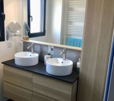 Meuble vasque dans la sde