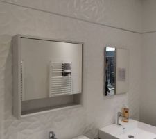 Choix du Carrelage : PORCELANOSA, gamme Habitat, modèle Oxo Déco