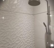 Choix du Carrelage : PORCELANOSA, gamme Habitat, modèle Oxo Déco
