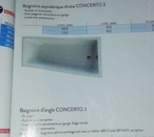 Baignoire asymétrie SDB parents