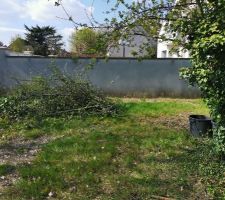 Préparation du terrain avant les travaux (Élagage / Clôture)