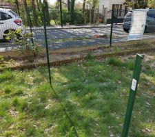 Préparation du terrain avant les travaux (Élagage / Clôture)