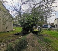 Préparation du terrain avant les travaux (Élagage / Clôture)