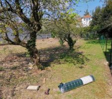 Préparation du terrain avant les travaux (Élagage / Clôture)