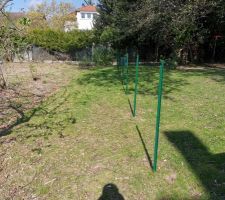 Préparation du terrain avant les travaux (Élagage / Clôture)