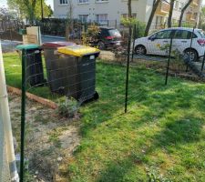 Préparation du terrain avant les travaux (Élagage / Clôture)