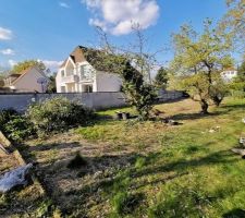 Préparation du terrain avant les travaux (Élagage / Clôture)