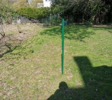 Préparation du terrain avant les travaux (Élagage / Clôture)