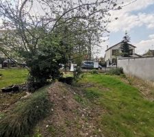 Préparation du terrain avant les travaux (Élagage / Clôture)
