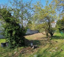 Préparation du terrain avant les travaux (Élagage / Clôture)