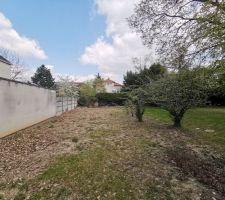 Préparation du terrain avant les travaux (Élagage / Clôture)