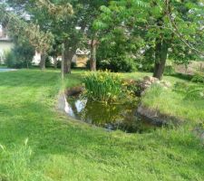 Terrain au moment de l'achat