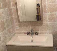 Salle de bain du bas vasque et placard mirroire
