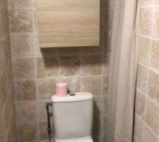 Salle de bain du bas Wc et placard deriere le rideau et placard sur le
mur