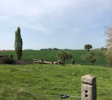 D&eacute;broussaillage