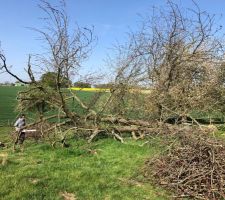 D&eacute;broussaillage