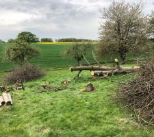 Débroussaillage - après 4h de boulot :)