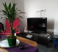Aperçu de mon salon