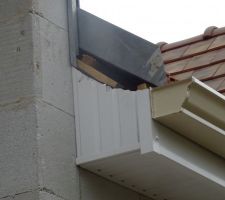 Cache moineaux mal découpés.