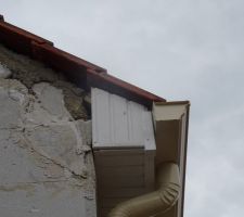 Cache moineaux mal découpés.