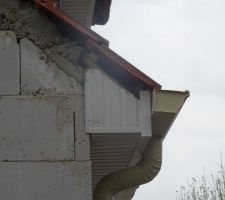 Cache moineaux mal découpés.