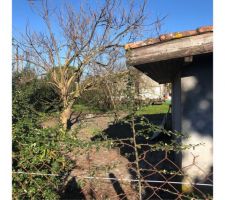 Terrain en friche avec le poulailler en premier plan