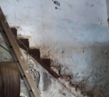 Démolition de l'escalier et du plancher.
Tout de suite c'est plus grand