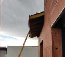 Planche de rives