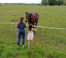 Le champ des chevaux derrière la maison