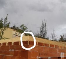 Charpente voil&eacute;e