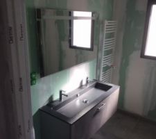 Meuble vasque avec miroir chauffant ?