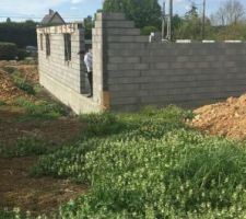 Suite &eacute;l&eacute;vation murs