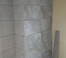 Faiences de la sde du rdc