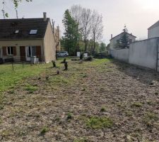 Coupe des arbres