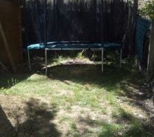 Trampoline on Un ni ok merci