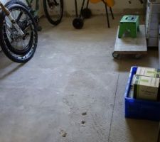 Après évacuation bois pourri
