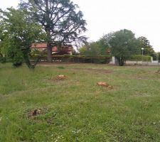 Terrain prêt pour le démarrage de la construction !