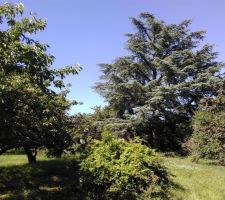 Terrain &agrave; la 1&egrave;re visite